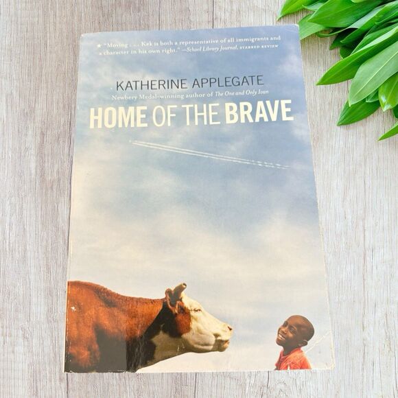 Book Collection - Multicolor - Picture 7 of 13